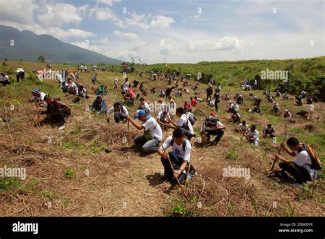 Student Tree Planting Activity Hi Res Stock Photography And Images Alamy