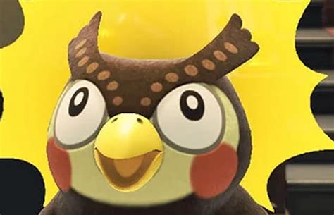 Conhecendo Blathers e suas melhores reações - Nintendo Blast
