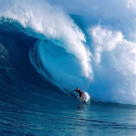 Downtown Honolulu Hawaii Surfing Waves Big Wave Surfing Surfing