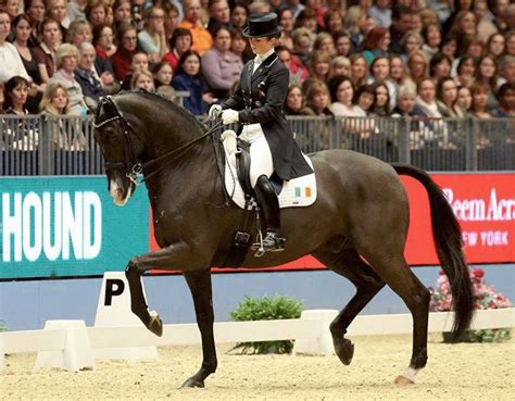Historic Day For Irish Dressage As Reynolds Claims Top 10 Finish At