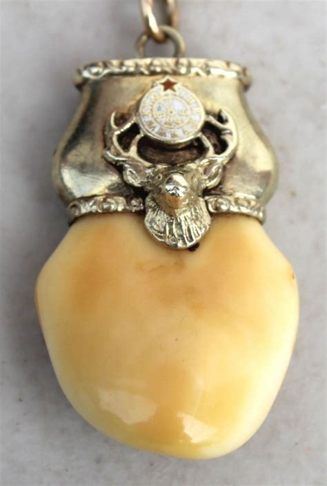 14k Gold Elk Head Decorated Capped Elks Tooth On Gold May 04 2013
