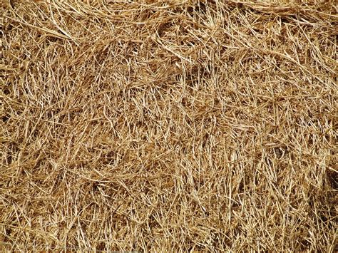 Hay Straw Bale · Free Photo On Pixabay