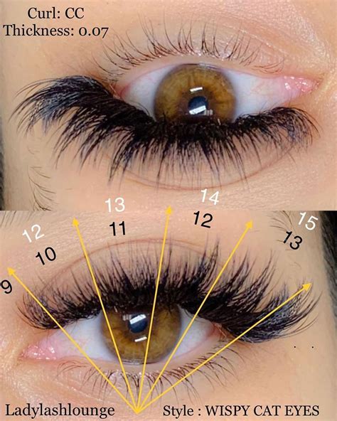 pin by lindsey hansen on lashes in 2020 eyelash extensions lash extensions styles eyelashes