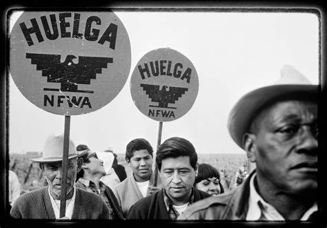 ‘the crusades of cesar chavez by miriam pawel the new york times