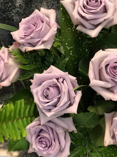Ordering flowers online is easy with our website and our flower shop prides itself in creating gorgeous floral arrangements using only the freshest flowers sourced from the best flower growers in the world. Dozen Lavender Roses Medium Stemmed in Fort Lauderdale, FL ...