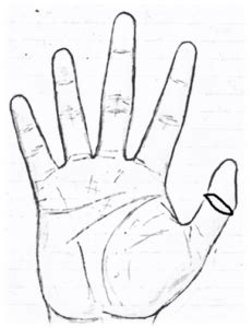 Palm reading (palmistry or chiromancy) is to learn a person's personalities and future by analyzing hands, palm lines, finger and fingernail. MONEY LINES /WEALTH LINES||MONEY LINE PALM READING (PALMISTRY)