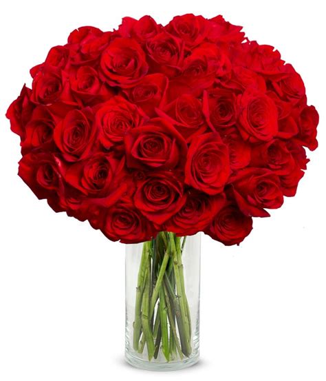 50 Stunning Long Stemmed Red Roses At From You Flowers