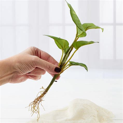 Homedepot.com has been visited by 1m+ users in the past month Artificial Philodendron Plant with Roots - Picks + Sprays ...