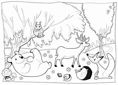 Forest Coloring Detailed Creatures Animals Pages Clipart