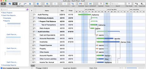 Generating Tabular Project Reports On Mac Conceptdraw Helpdesk