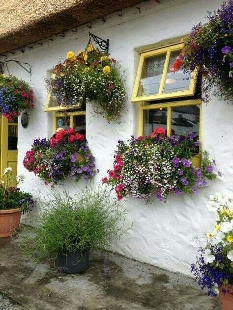 Window sill planters embellish the outsides of homes without backbreaking traditional lawn gardening. what's on your windowsill? | Flower boxes, Flower window ...