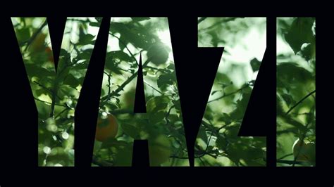 Видео adobe premier pro videolara logo ekleme канала enes usta. Yazı (Text) Ekleme - Yazı İçinde Oynayan Video - Adobe ...