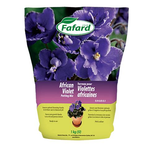 African violets are stunning tropical plants whose flowers resemble violets in color and shape. Fafard African Violet Potting Mix - Ryerse