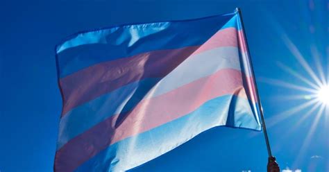 Statement On The International Day Against Homophobia Transphobia And