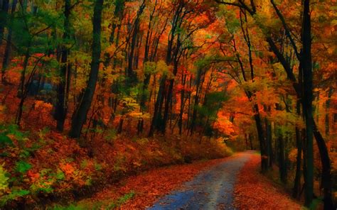 Autumn Road Image Abyss