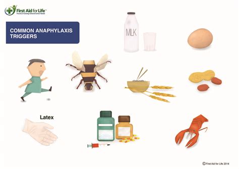 Food Allergies And Anaphylaxis Know The Triggers And What To Do To Help