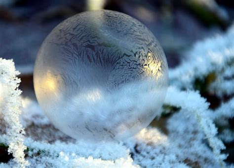 Free Picture Nature Winter Ice Reflection Snowflake Frost Macro