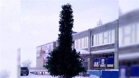 christmas tree shaped like a penis sparks outrage