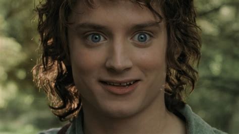 Frodo Baggins 12 Best Moments In The Lord Of The Rings Franchise Ranked