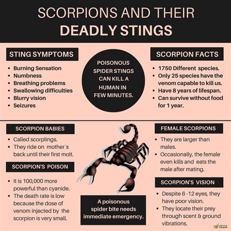 10 Best Home Remedies For Scorpion Stings