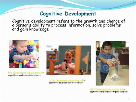 Stages Of Cognitive Development In Infants Ubicaciondepersonascdmx