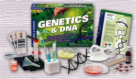 Genetics And Dna Experiment Kit
