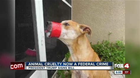 Local Activists React To New Federal Animal Cruelty Law