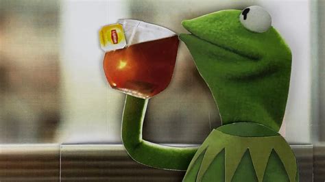 Spill Spill The Tea Meme Kermit The Frog Pop Up Card Final Version