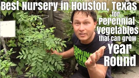 Same day delivery · farm fresh flowers · wide variety of flowers Best Nursery in Houston for Perennial Vegetables that can ...
