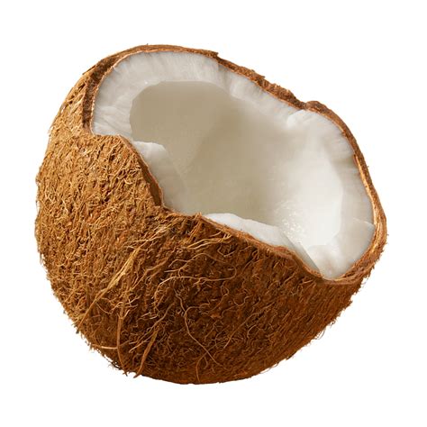 Download Coconut Png Image For Free