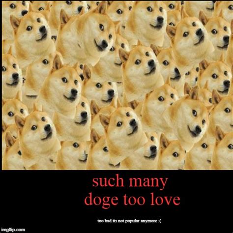 Such Many Doge Too Love Imgflip