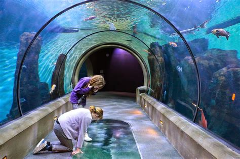 Let builders firstsource help you with all your building. Russman's spot: Oregon~ Oregon Coast Aquarium ~ Newport ...