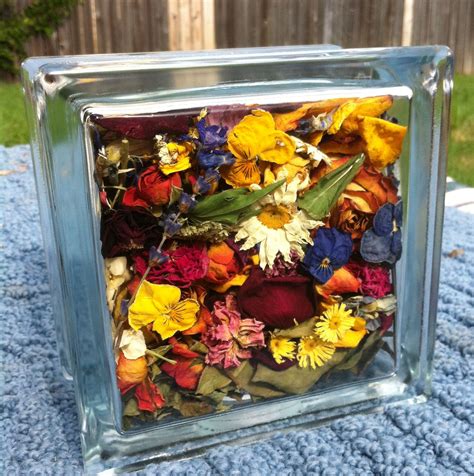 After a week, i placed my white roses in silica gel, but they turned brown in the middle. Pin by Katherine Womack on Crafts | Glass blocks, How to ...