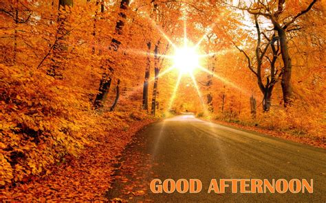 Good Afternoon Amazing Autumn Road Way Hd Wallpaper Desktop Wallpaper