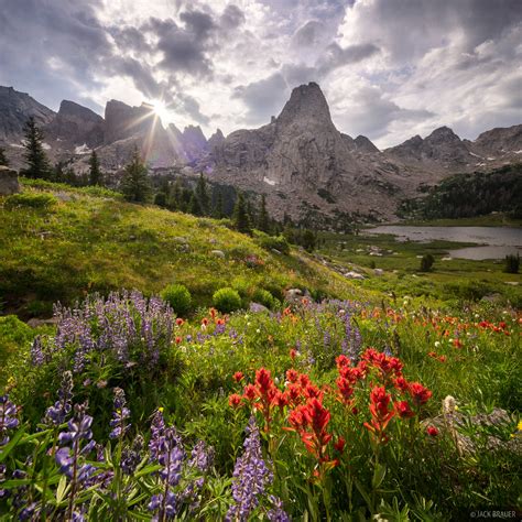 Wildflowers In The Cirque Of The Towers Wind River Range