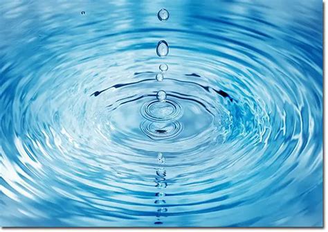 ¿qué Es Agua Su Definición Y Significado 2020