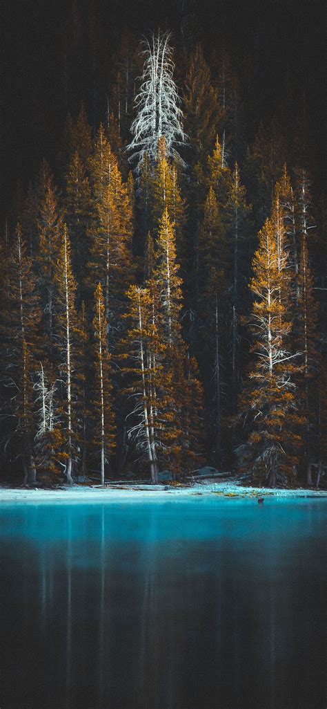 Beautiful iPhone Wallpapers - Wallpaper Cave