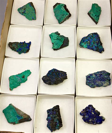 Chrysocolla Azurite Set Of 12 Minerals For Sale 1257854