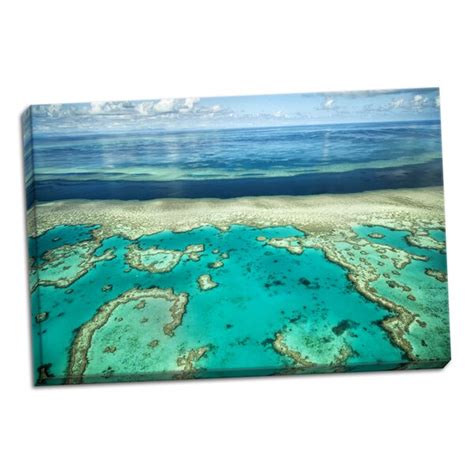 Ebern Designs Coral River Ii By Larry Malvin Photograph On Canvas
