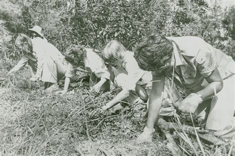 The Bradley Sisters — Mosman Parks & Bushland Association