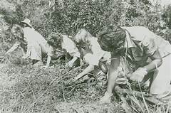 The Power Of Love The Bradley Sisters Determination To Find Their Mother