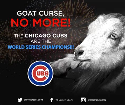 Goat Curse No More The Chicago Cubs Are The World Series Champions