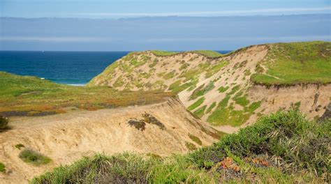 Fort Ord Dunes State Park In Seaside Tours And Activities Expedia