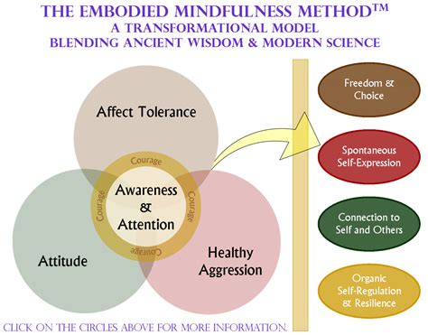 Embodied Mindfulness A Graphic Representation Self Regulation