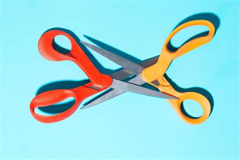 A Complete Beginners Guide To Scissoring Scissors Beginners Guide
