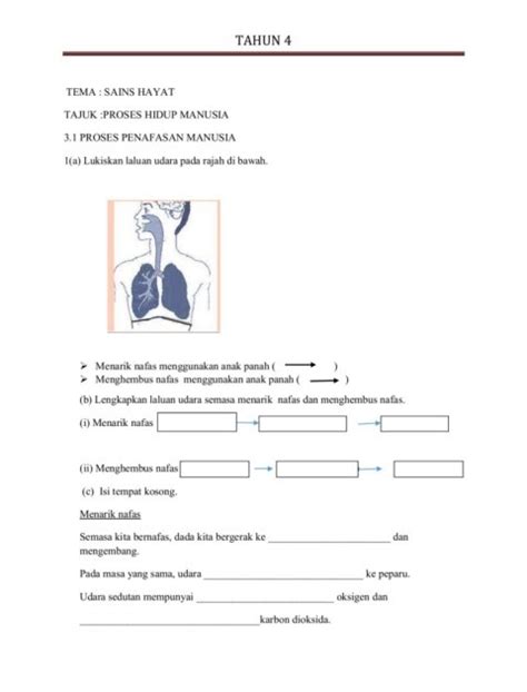 We did not find results for: Beza Sains Hayat Dan Sains Fizikal : Matematik - Birçok ...