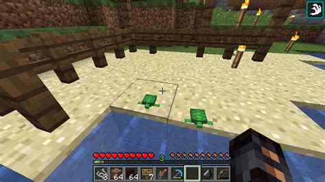 How long does it take for turtle eggs to hatch in minecraft? My First Baby Turtles Just Hatched Omg They Re So Cute