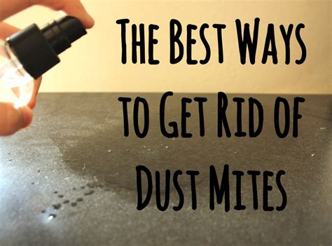12 Ways To Get Rid Of Dust Mites In Your House Dengarden