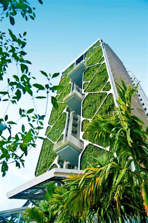 To create a vertical garden in or around one's house, one must be a bit creative or take the help of vertical gardens require regular maintenance, such as trimming and pruning, to maintain the look of. World's Largest Vertical Garden Sets Guinness Record at ...