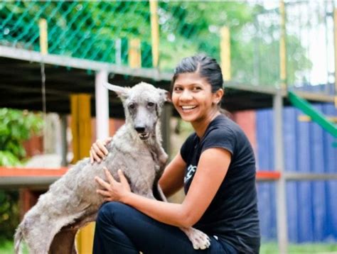 Kl pooch resort and rescue is a dog boarding center, as well as a haven for malaysia's street dogs. Blog | R.AGE